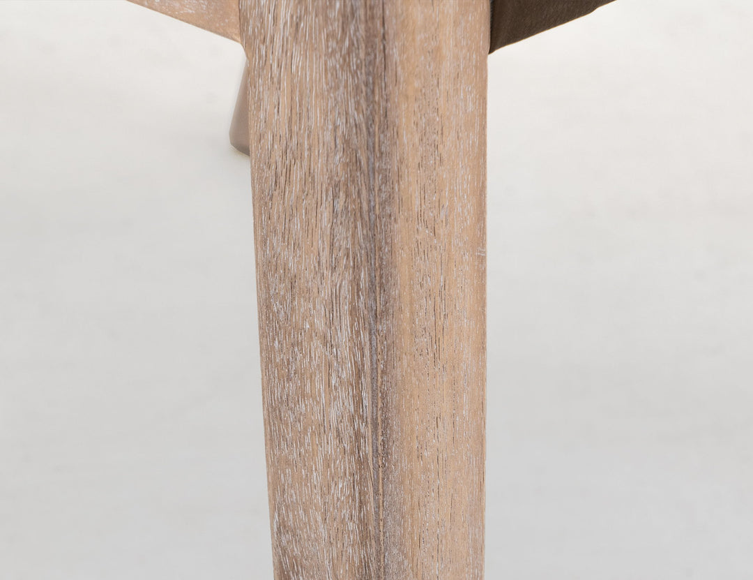 Balam - Upholstered Dining Chair (Set of 2)