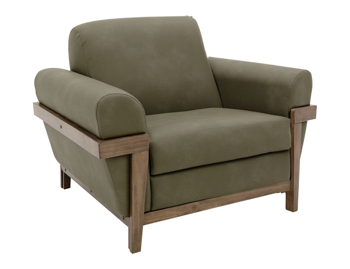 Mezquite - Fauteuil - Vert succulent